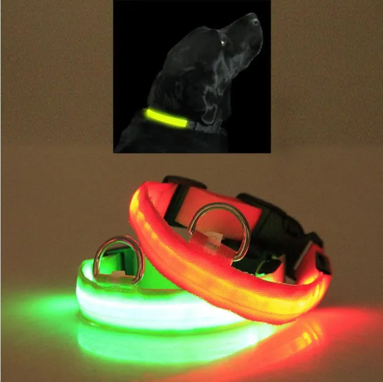 LED Dog Safety Collar – Rechargeable Halo-Style Light-Up Collar for Night Walks & Outdoor Visibility