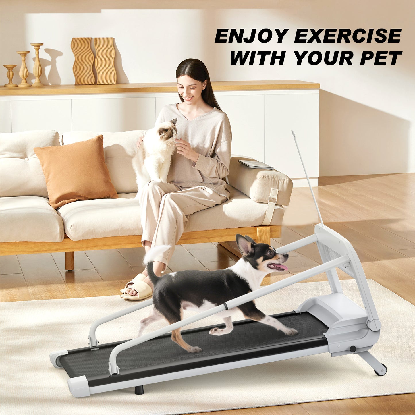2025 Smart Pet Treadmill – Quiet Indoor Dog Treadmill with Adjustable Speed for Small & Medium Dogs