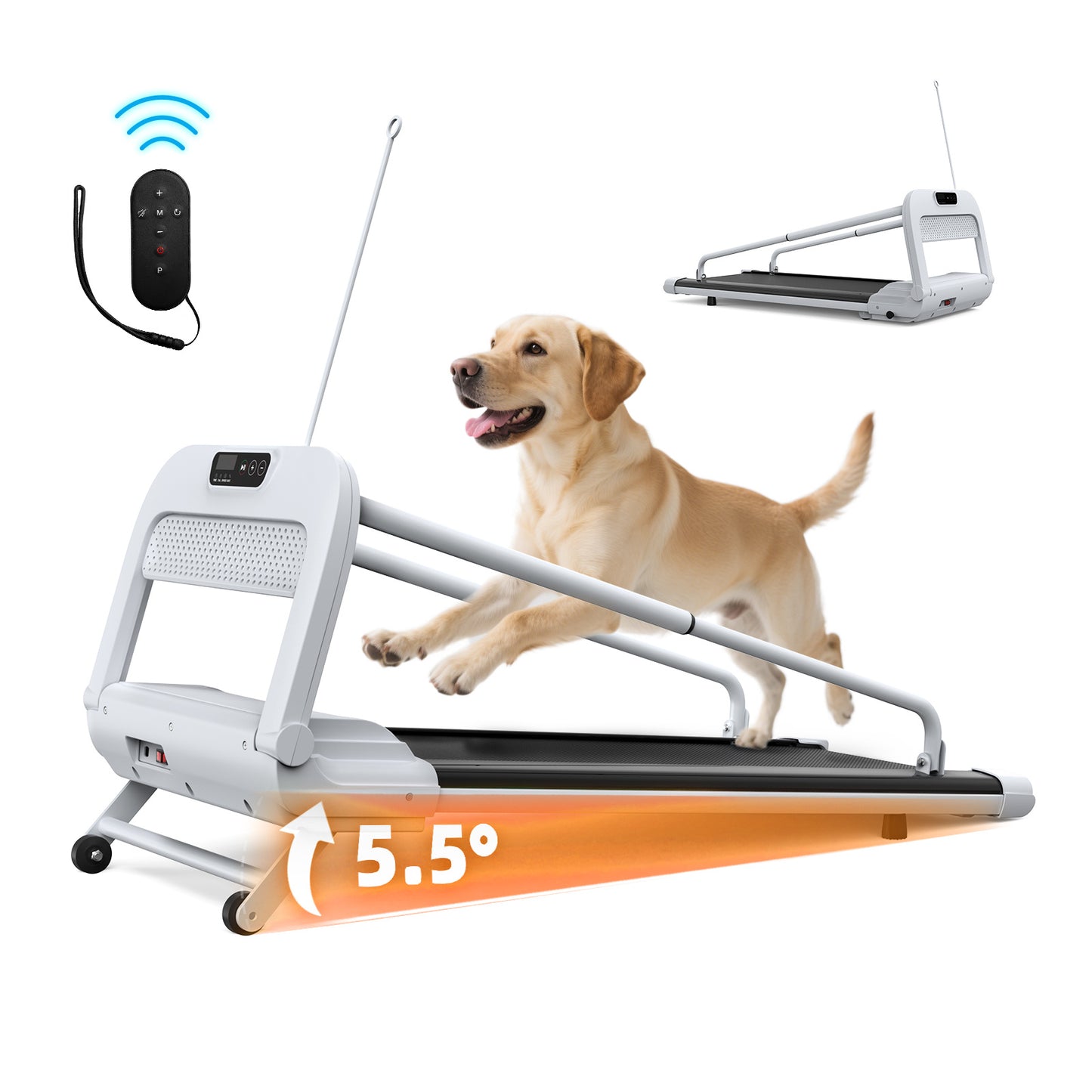 2025 Smart Pet Treadmill – Quiet Indoor Dog Treadmill with Adjustable Speed for Small & Medium Dogs