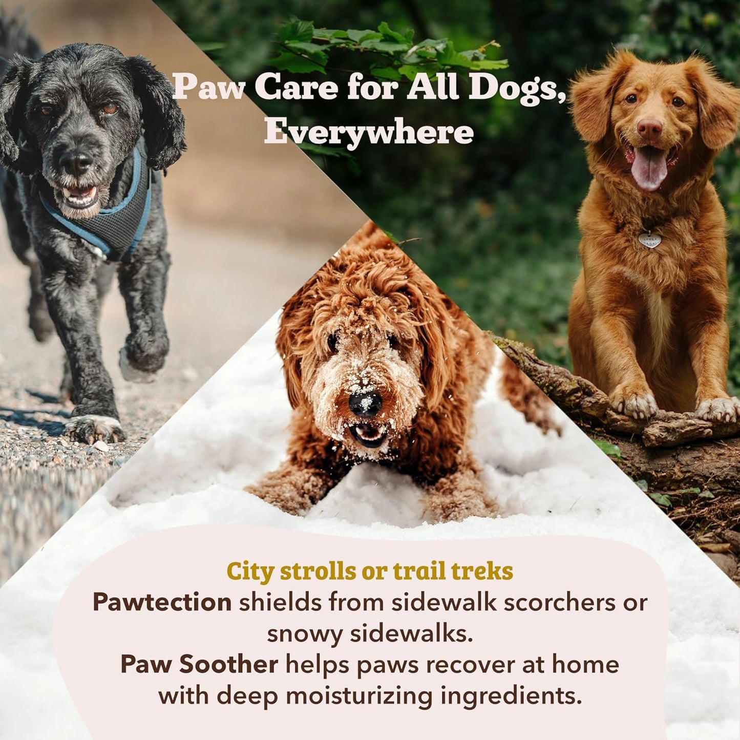 PawSaver Dog Balm
