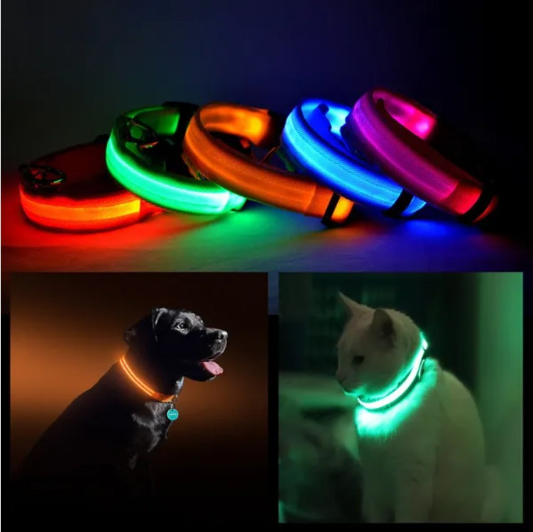 LED Dog Safety Collar – Rechargeable Halo-Style Light-Up Collar for Night Walks & Outdoor Visibility