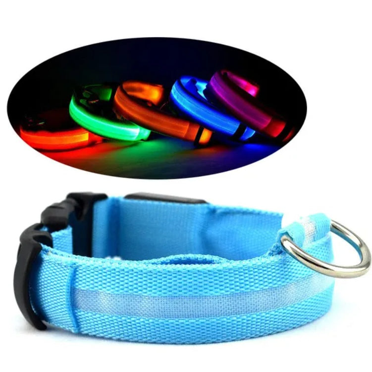 LED Dog Safety Collar – Rechargeable Halo-Style Light-Up Collar for Night Walks & Outdoor Visibility