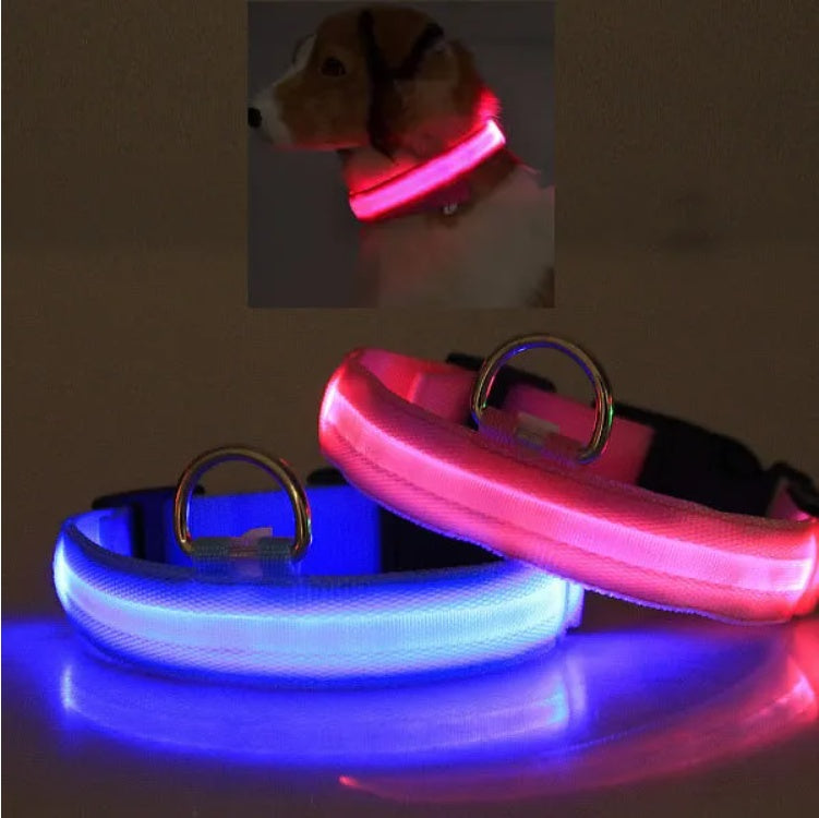 LED Dog Safety Collar – Rechargeable Halo-Style Light-Up Collar for Night Walks & Outdoor Visibility