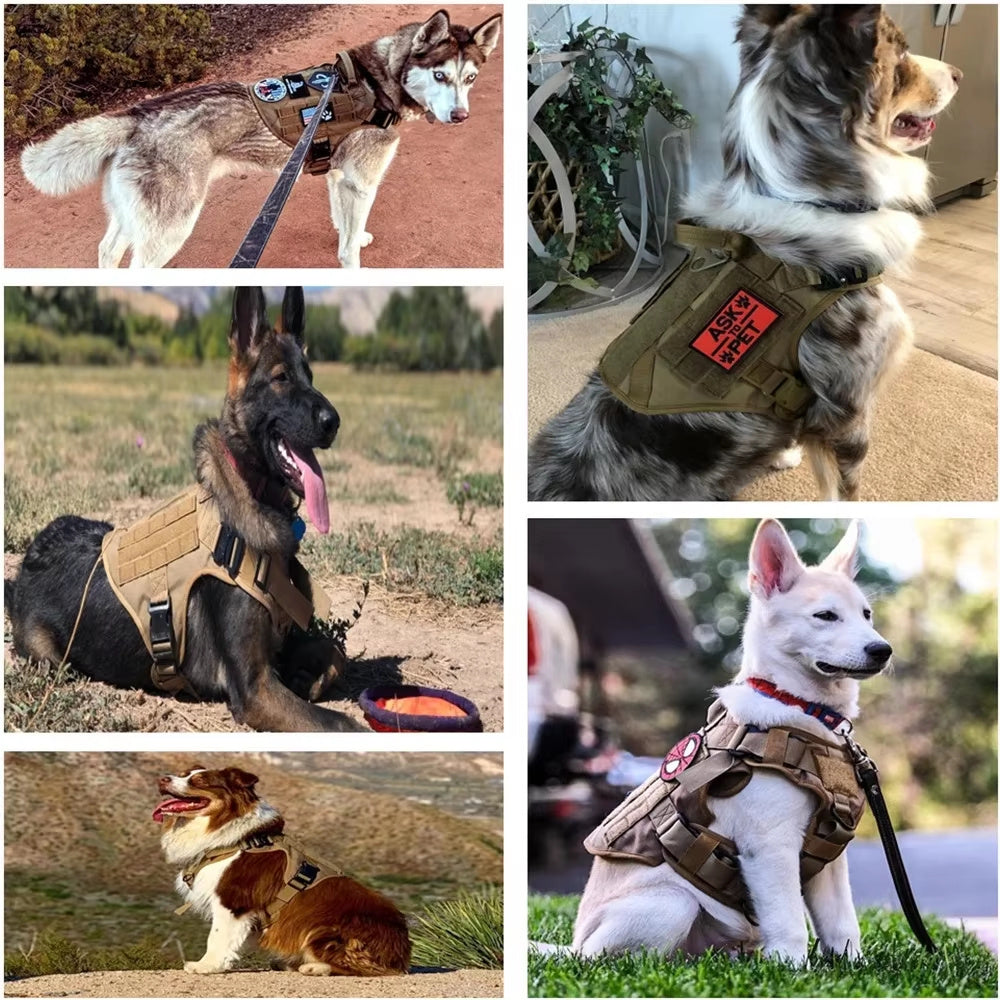 Camouflage Dog Harness & Leash Set – Luxury No-Pull Chest Harness with Adjustable Nylon Straps for Training & Walking