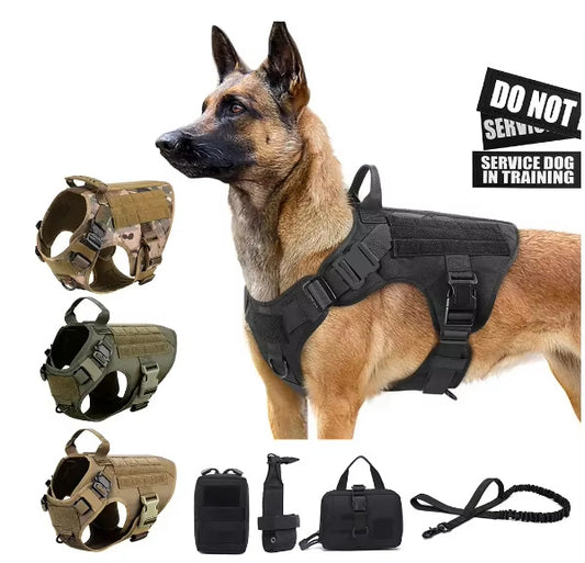 Camouflage Dog Harness & Leash Set – Luxury No-Pull Chest Harness with Adjustable Nylon Straps for Training & Walking
