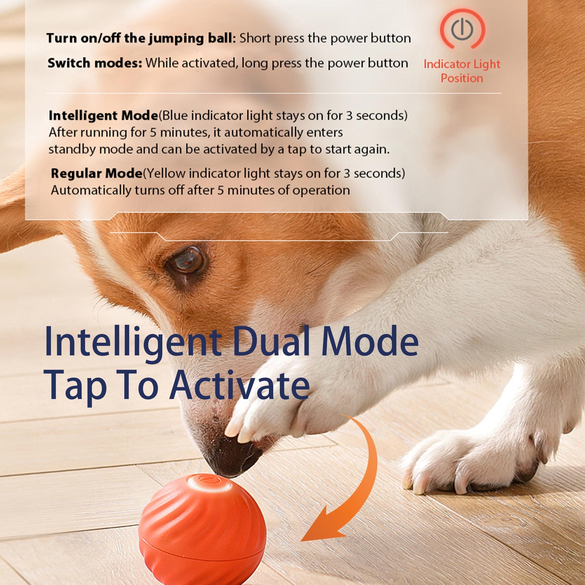 The Dog's Smart Self-rolling Bouncy Ball, With Safe Materials And Self-rolling And Bouncing Technology, Brings Great Fun To Animal Friends
