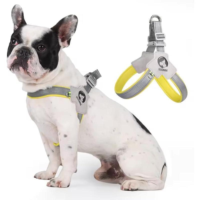 No-Pull Reflective Dog & Cat Harness Set – Adjustable, Comfortable Training Harness with Leather Leash for Walking & Control