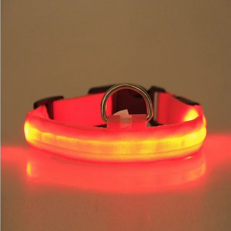 LED Dog Safety Collar – Rechargeable Halo-Style Light-Up Collar for Night Walks & Outdoor Visibility