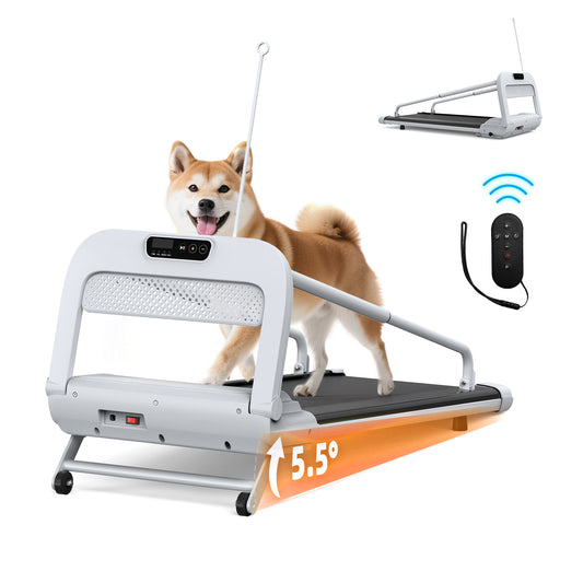 2025 Smart Pet Treadmill – Quiet Indoor Dog Treadmill with Adjustable Speed for Small & Medium Dogs