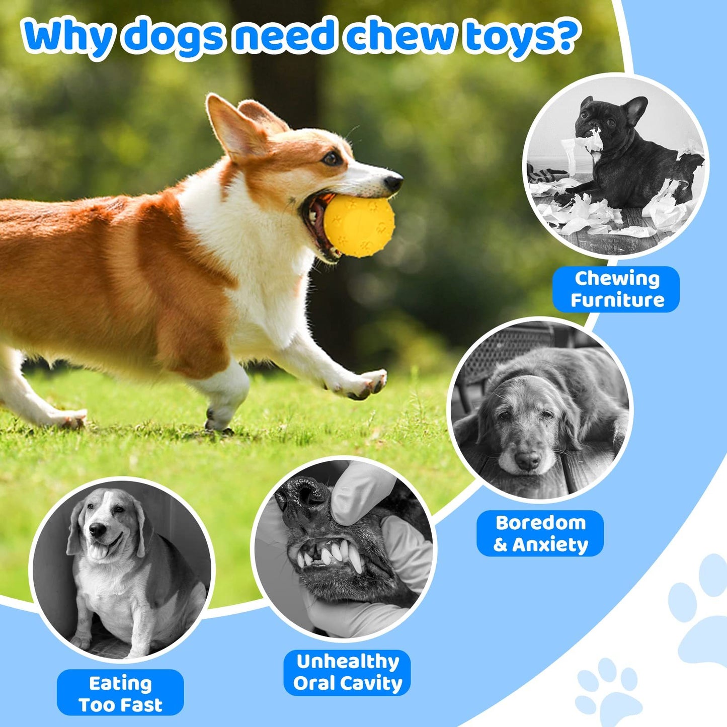 Interactive Egg-Shaped Dog Treat Toy – Yellow Rubber Chew Toy for Teething Puppies & Dogs, Dispenses Food & Cleans Teeth